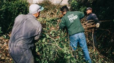 El Municipio extrajo 84 toneladas de residuos de terrenos privados abandonados