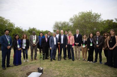 Para celebrar la cumbre por el cambio climático, Rodríguez Larreta y alcaldes extranjeros plantaron árboles en la Reserva Ecológica