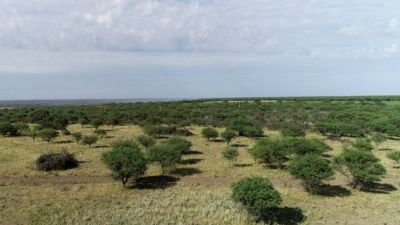 Parque Nacional El Caldenal: no habrá expropiación de tierras