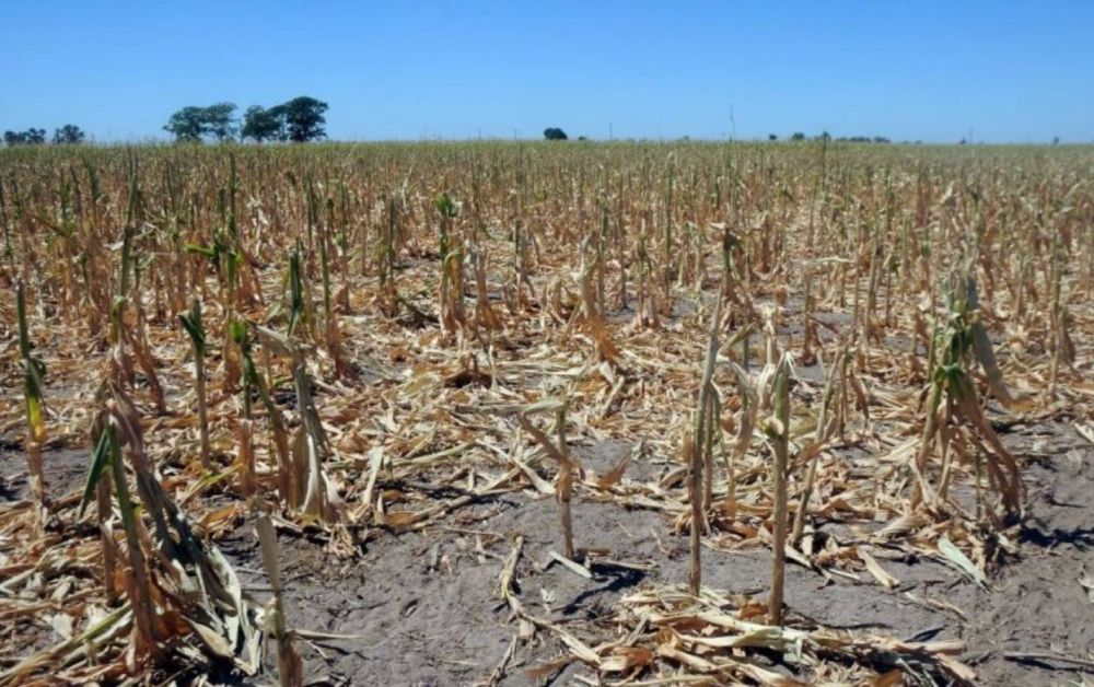 La Provincia habilita una medida de alivio a productores afectados por desastre clim�tico
