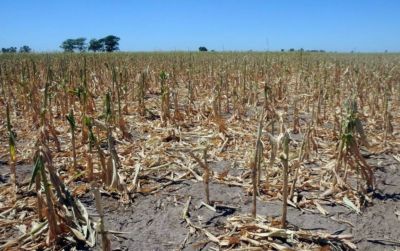 La Provincia habilita una medida de alivio a productores afectados por desastre clim�tico