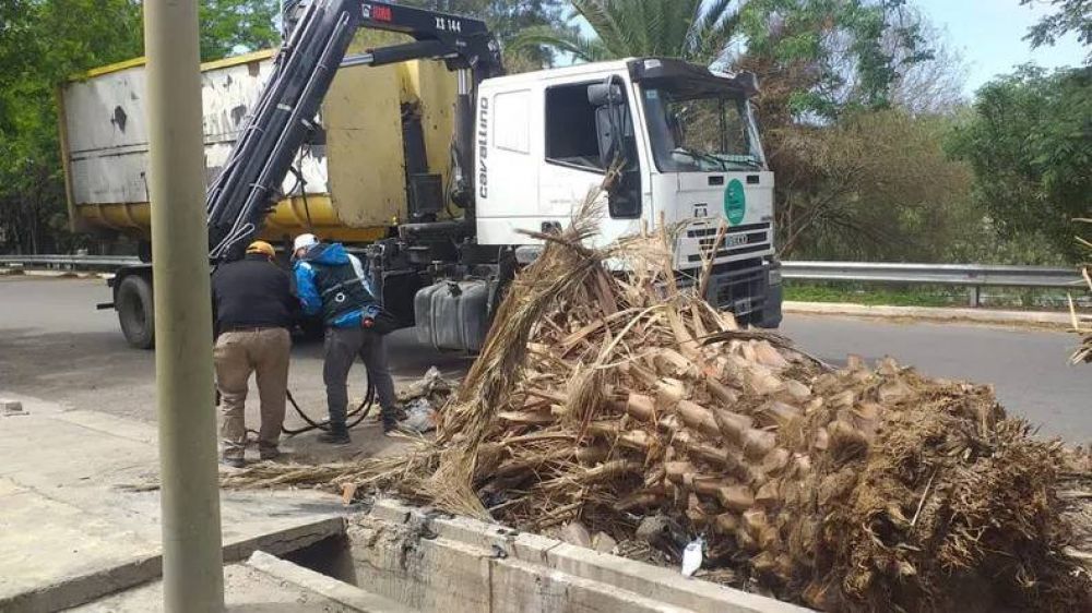 Limpieza profunda en Concepcin: retiraron 24 camionadas con basura