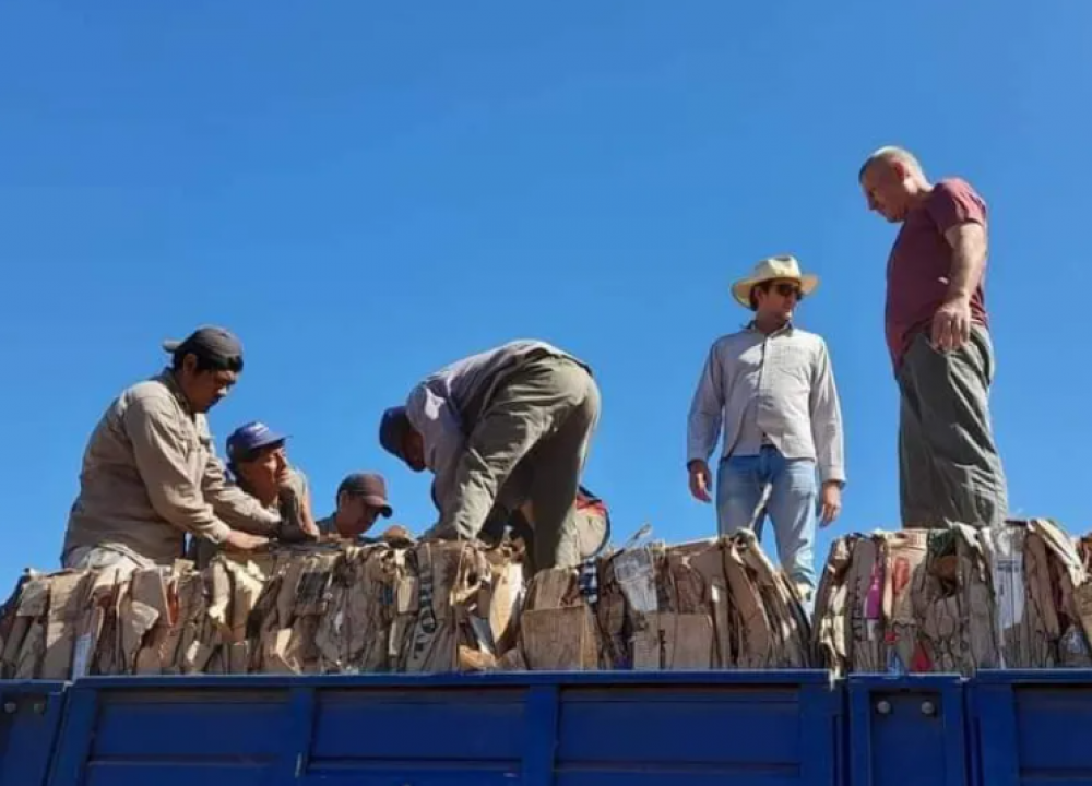 La Planta de Residuos de Castelli vendi� m�s de 21.000 kilos de cart�n reciclado