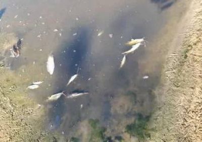 Un vecino de Mercedes inici� una limpieza de basuras al borde de la ruta