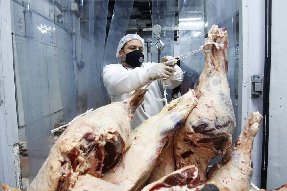 Carnes: Los frigorficos regionales pusieron en pausa al troceo