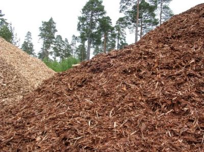 De residuos de bosques a producir energía: cómo es el proyecto que presentó Chubut para reducir el uso de gasoil y ahorrar 3 millones de dólares anuales