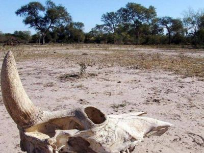 En Argentina, hay siete millones de hectáreas afectadas por la severa sequía