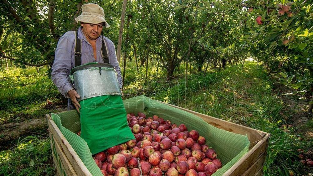 Habr un dlar preferencial y crditos para el sector productivo afectado por el clima