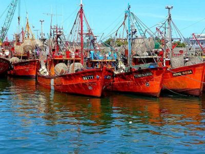 Capitanes de Pesca paró la actividad por 48 hs. en el Puerto de Mar del Plata