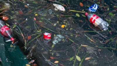 Coca-Cola, el mayor contaminador plástico del mundo, patrocina la COP27. Por qué eso es un problema