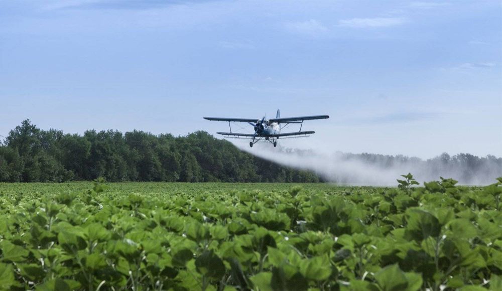 Suspenden por tres meses m�s la resoluci�n de Vidal sobre agroqu�micos
