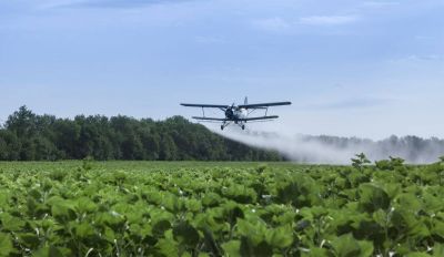 Suspenden por tres meses m�s la resoluci�n de Vidal sobre agroqu�micos
