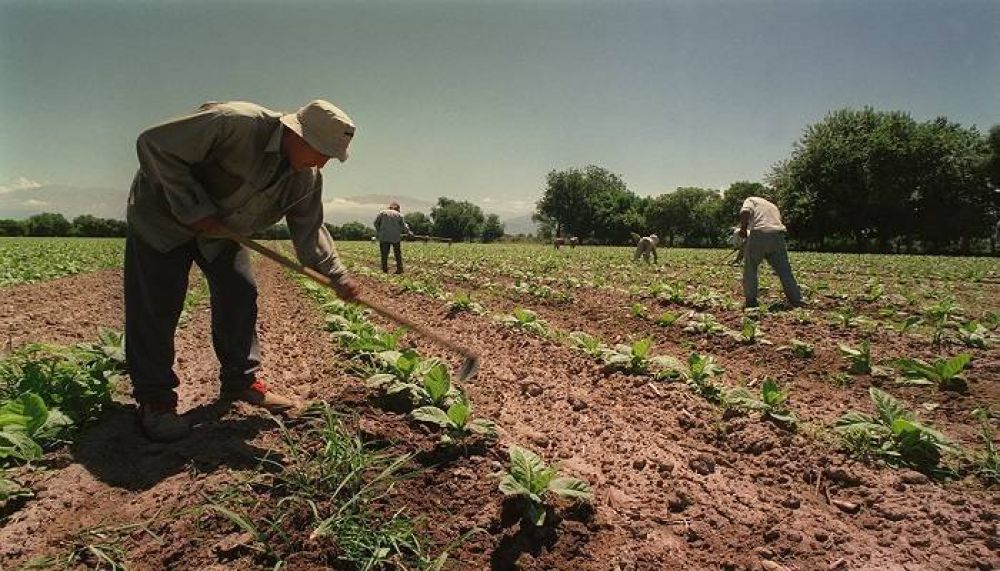 UATRE y la Comisin Nacional del Trabajo Agrario brindarn asesoramiento sobre el Decreto 514