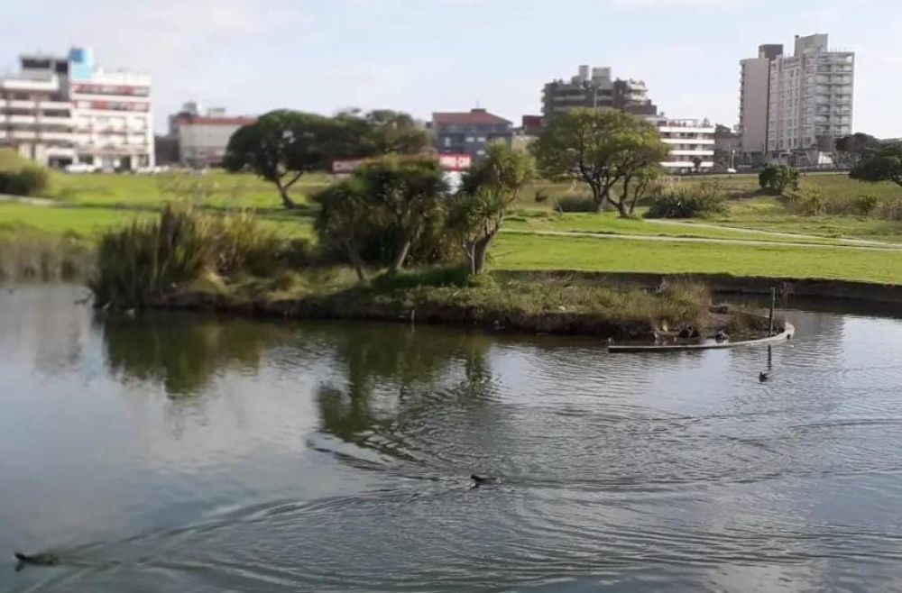 Jornada ambiental en Punta Mogotes: limpieza de lagunas y recoleccin de desechos tecnolgicos