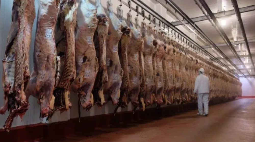 Argentina exportar carne bovina a Mxico tras ocho aos de negociaciones