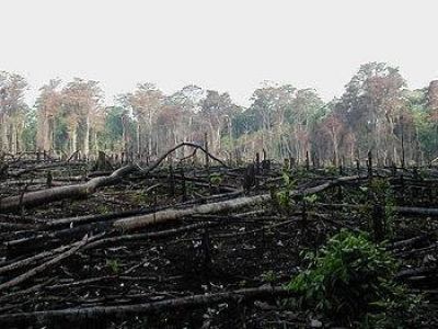 Un desaf�o ambiental