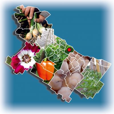 INTA AMBA: culminó el “Curso de Huerta Agroecológica” con Interpretación de Lengua de Señas Argentina