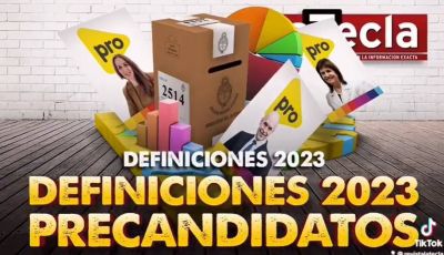 Pros y contras de los precandidatos