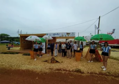 Alumnos recolectaron 90 toneladas de residuos en Santo Tom�