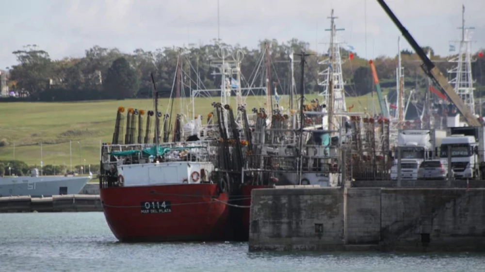 Advierten que en el último año la pesca de Mar del Plata perdió 1000 puestos de trabajo