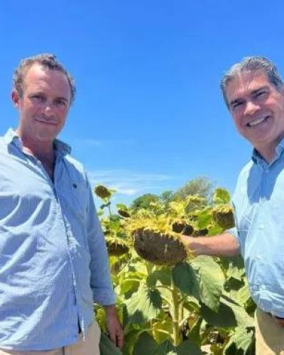 Capitanich conf�a en lograr buenos rindes en la cosecha de girasol