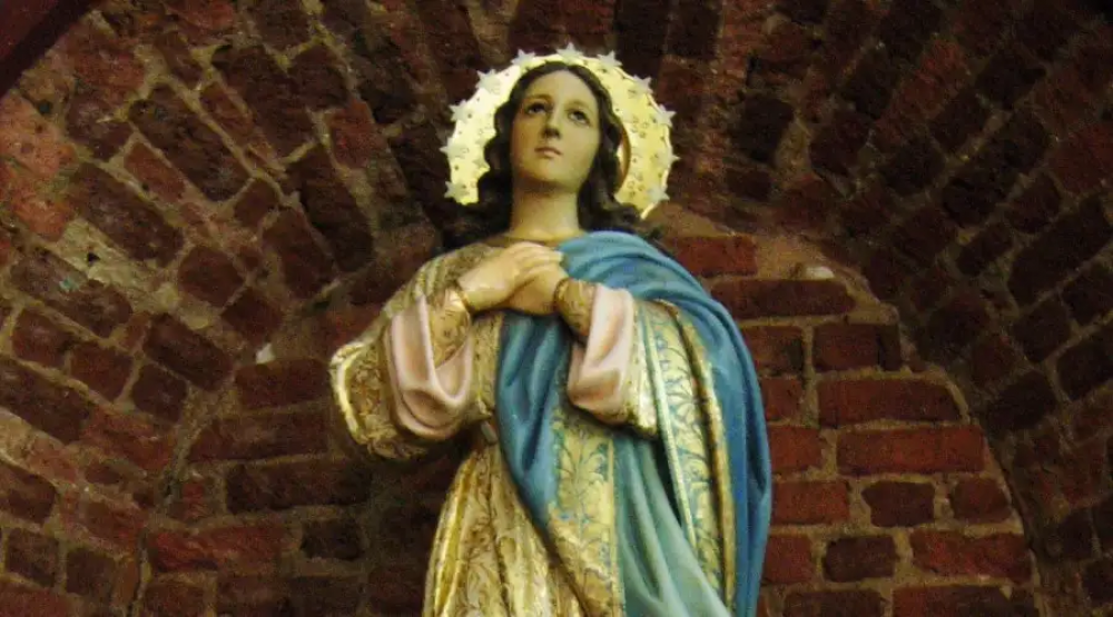 Obispo llama a contemplar a María Inmaculada como modelo de vida humana divinizada