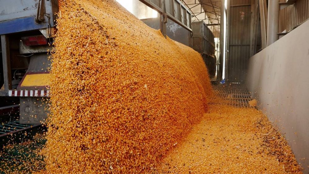 Ya se vendieron casi 300.000 toneladas de soja y acumulan ms de 1,15 millones
