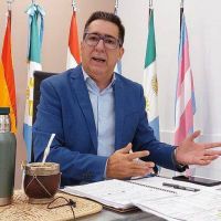 Suspensión de las PASO: ”Generan un gasto que no se justifica en el contexto económico actual”, dijo Martínez