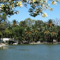 Organizaciones civiles piden rediscutir el uso del Parque Independencia tras denunciar su deterioro: “No saben bien qué hacer con el parque”