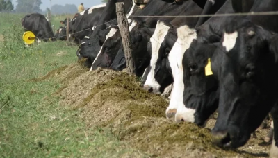 El campo correntino espera una pr�rroga de la emergencia agropecuaria