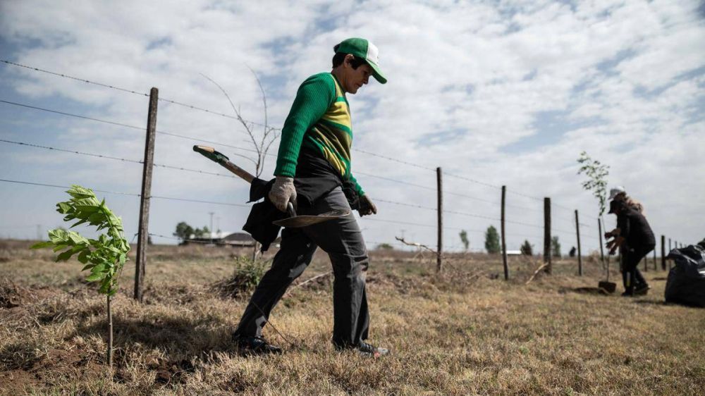 Plantaron ms de 250 mil rboles en San Luis para mitigar los efectos del cambio climtico
