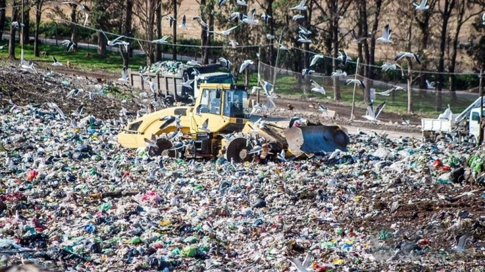 Ocho empresas recorrieron el predio de residuos para analizar su estado