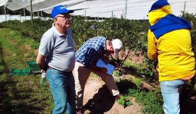 UATRE Entre Ros desarroll operativos para combatir el trabajo rural sin registrar