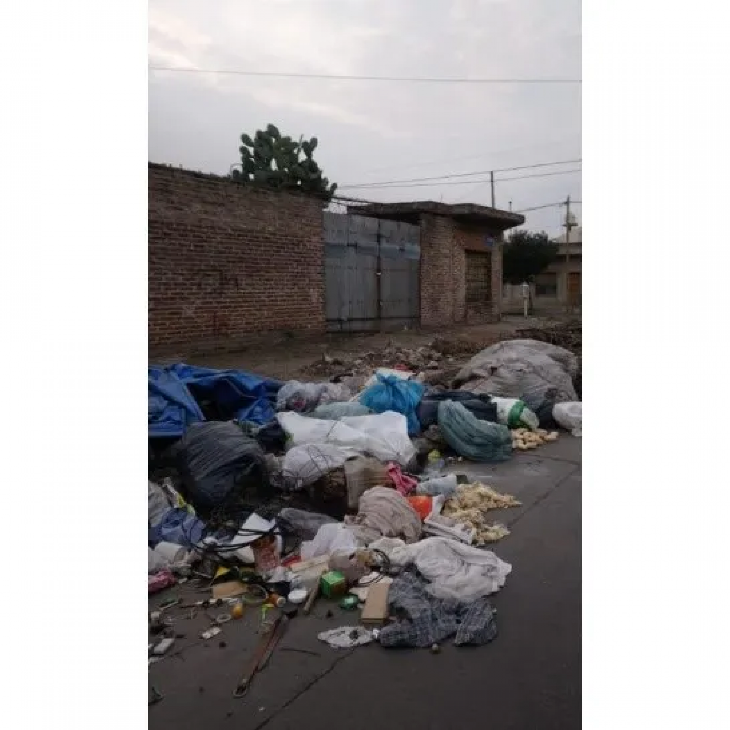 Vecinos de Tres de Febrero están alarmados por la acumulación de basura