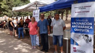 Presidente Per�n: Campa�a gratuita de castraci�n y vacunaci�n antirr�bica