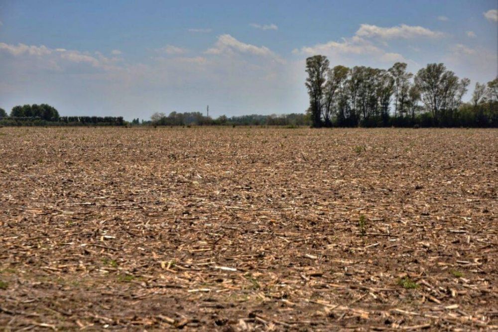 Axel Kicillof declar el estado de Emergencia y/o Desastre Agropecuario por la sequa en el Partido de Lujn