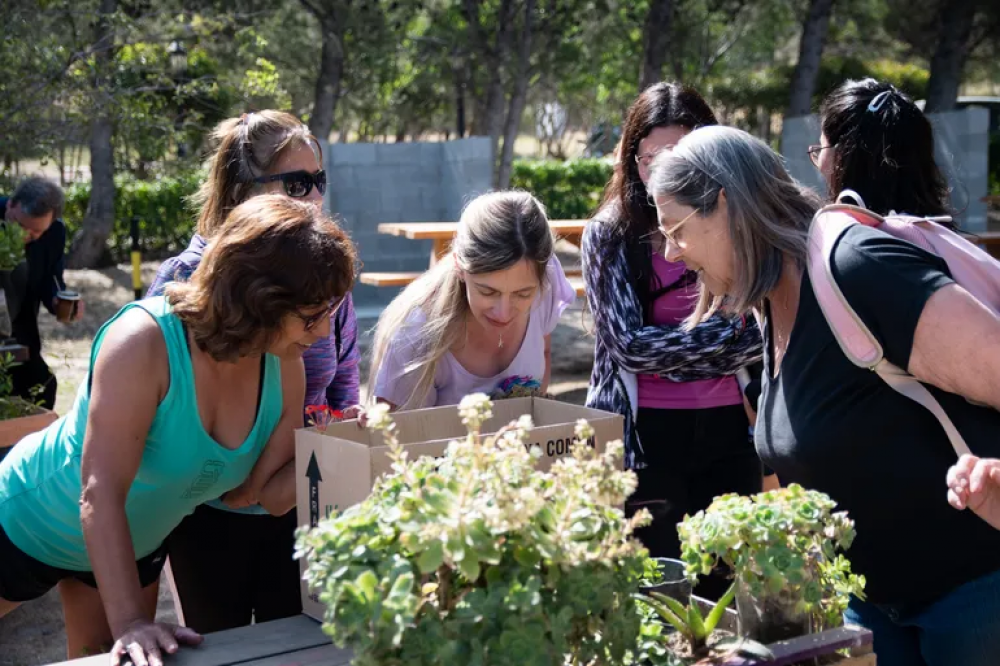 Vuelve Rada Verde: 2 Encuentro de intercambio de plantas, semillas y saberes