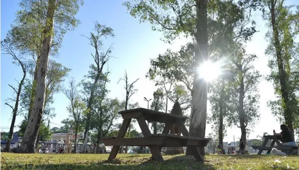 La Coalición Cívica instaló mesas y sillas de madera reciclada en el parque El Eucaliptal