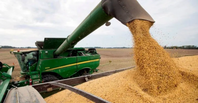 Dlar soja: se vendieron ms de 240.000 toneladas de soja y acumulan 4,2 millones