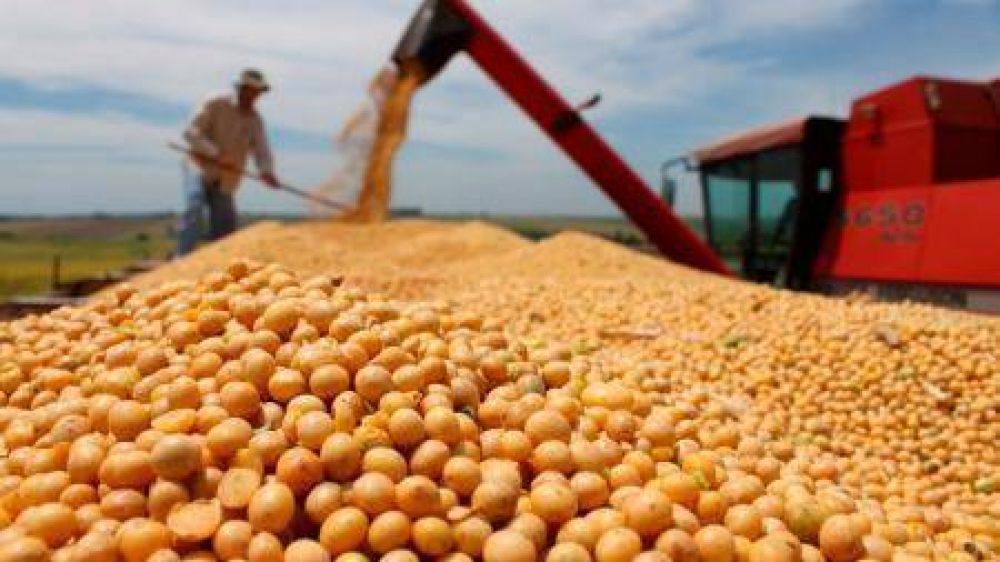 Productores vendieron ms de 347 mil toneladas de soja y acumulan 4,8 millones