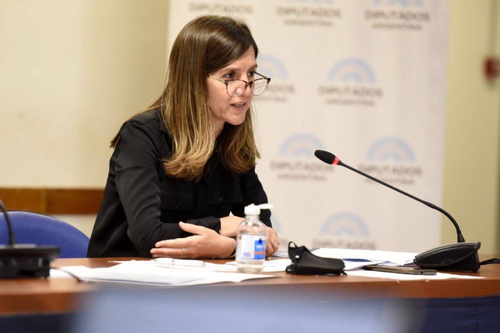 Raverta: �Pareciera que a la oposici�n no le importa que los argentinos se jubilen�