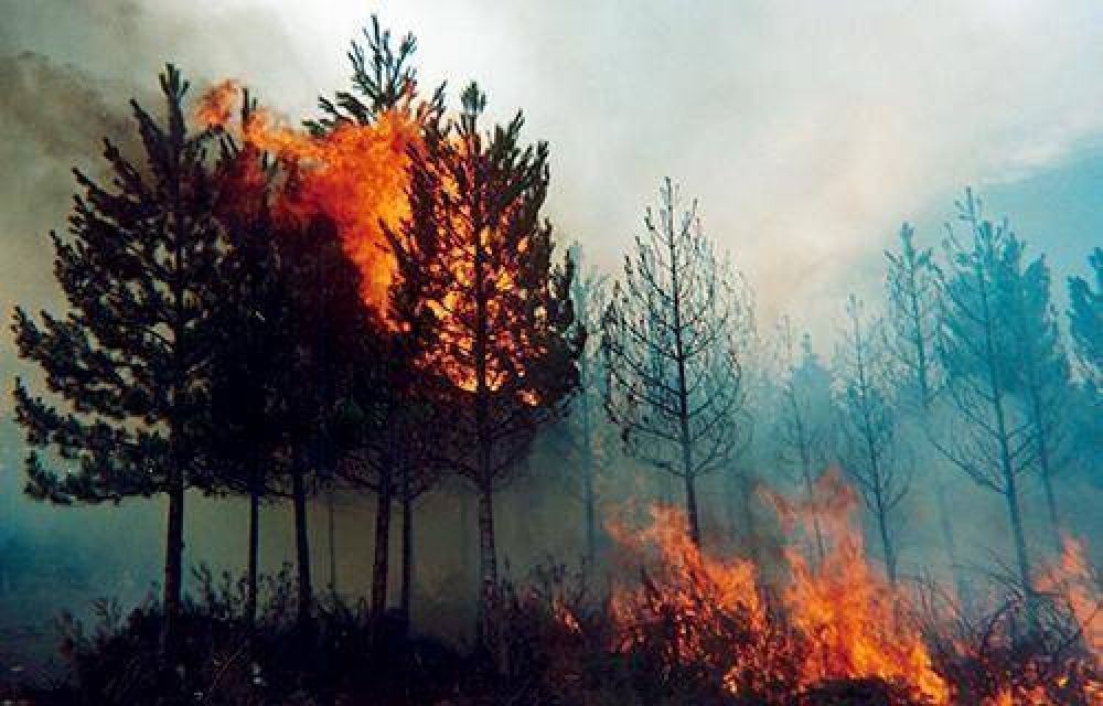 Caritas Chile en accin para prevenir el aumento de incendios forestales