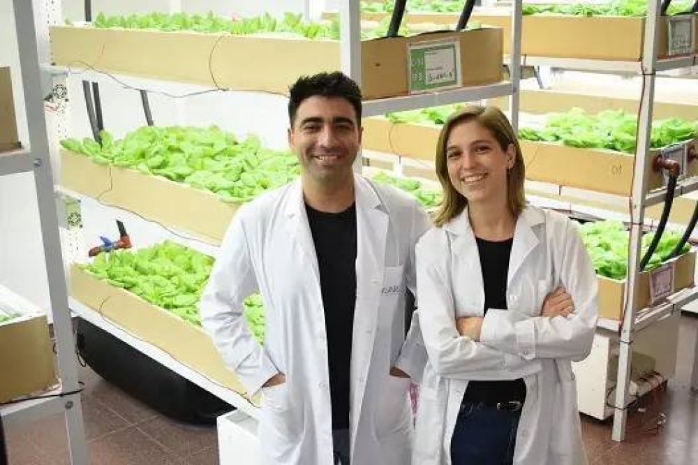 Una firma tucumana cultiva alimentos del futuro usando hidroponia y electroestimulaci�n