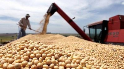 Peque�os y medianos productores que no entraron al 