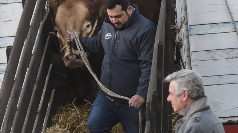 Massa rechaza las presiones de la Rural y descarta el 