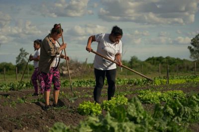 Monte Caseros: crece la agroecología en las huertas de Amarte Argentina
