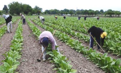 Los mismos de siempre: Empresarios del agro accionan para no pagar bono a trabajadores rurales de 50 mil pesos