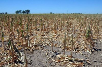 La sequ�a que preocupa a la provincia entera