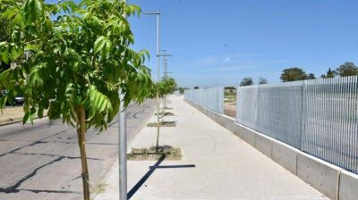 Don Orione: Con forestaci�n y m�s infraestructura avanzan las obras del parque Don Orione de ocho hect�reas