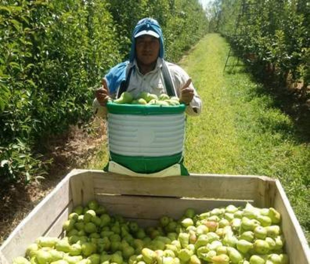Mejora salarial del 100,5% para trabajadores frutcolas del Alto Valle
